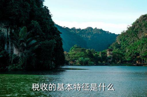 稅收的基本只能是什么，工商所和稅務(wù)所有什么區(qū)別 它們的主要只能是什么