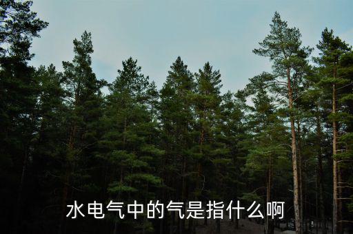 水電氣退稅氣指什么，公租房的水電氣的氣是指什么