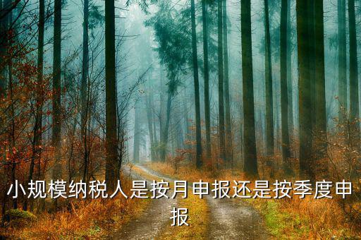 小規(guī)模納稅人按季申報(bào)是指什么，增值稅小規(guī)模納稅人按季申報(bào)怎么填