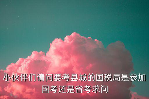 國考縣國稅局什么級別，縣級國稅屬于地市級嗎