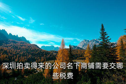 拍賣公司交什么稅，拍賣公司取得的傭金收入2000交哪些稅