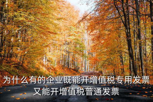 為什么有的企業(yè)既能開(kāi)增值稅專(zhuān)用發(fā)票又能開(kāi)增值稅普通發(fā)票