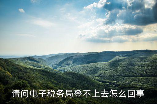 貴州省電子稅務(wù)局為什么進(jìn)不去，請問電子稅務(wù)局登不上去怎么回事