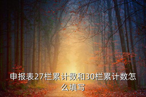 什么是期初未繳稅額，申報(bào)表27欄累計(jì)數(shù)和30欄累計(jì)數(shù)怎么填寫