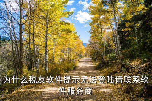 稅友的注冊編碼是什么，龍山稅友 網(wǎng)上電子報(bào)稅系統(tǒng)中的注冊編碼是什么