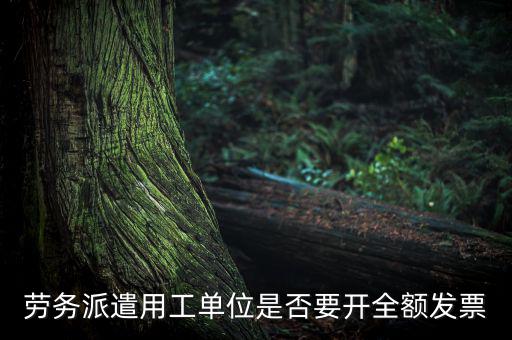 勞務(wù)派遣開什么票，勞務(wù)派遣小時(shí)工發(fā)票怎么開