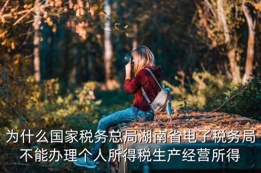電子稅務(wù)局里面為什么沒有個稅，個人所得稅查不到怎么回事