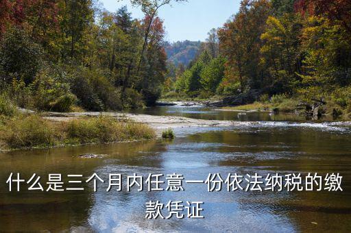 稅收繳款憑證是什么，請問國稅局要我繳納2010年的稅憑證稅憑證具體是指什么