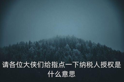納稅人獲得感是什么意思，請各位大俠們給指點一下納稅人授權(quán)是什么意思