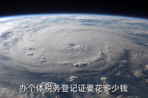 辦個(gè)體稅務(wù)登記證要花多少錢(qián)