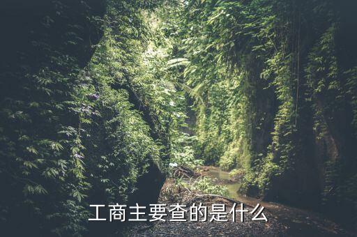 工商查賬一般是查什么，請(qǐng)問(wèn)工商局查帳會(huì)查些什么問(wèn)題