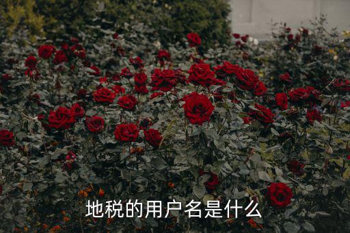 地稅登錄子賬號(hào)是什么，地稅的用戶(hù)名是什么