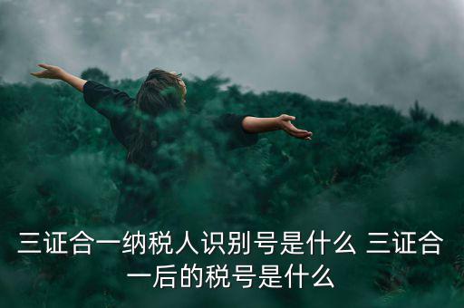 三證合一后稅號(hào)是什么，三證合一納稅人識(shí)別號(hào)是什么 三證合一后的稅號(hào)是什么
