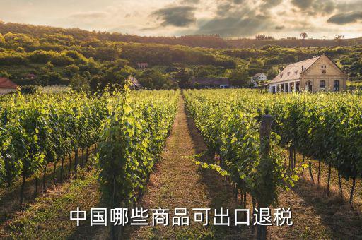 什么貨物出口可以退稅，中國(guó)哪些商品可出口退稅