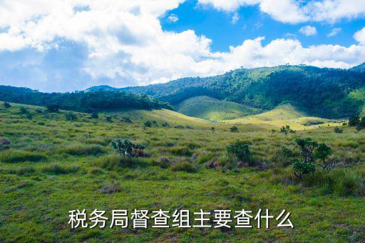 濟(jì)南市稅務(wù)局聯(lián)絡(luò)督導(dǎo)組什么職務(wù)，稅務(wù)局督查組主要查什么