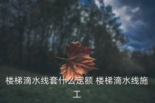 江蘇滴水套什么定額，滴水線套什么定額