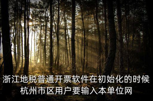 浙江網(wǎng)上稅務(wù)局的注冊碼是什么，浙江地稅因特網(wǎng)辦稅服務(wù)系統(tǒng)注冊碼過期