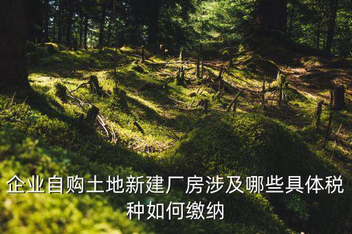 買地建廠房有什么稅，我們工廠是買了一塊地皮然后造了廠房請問土地使用需要交什么