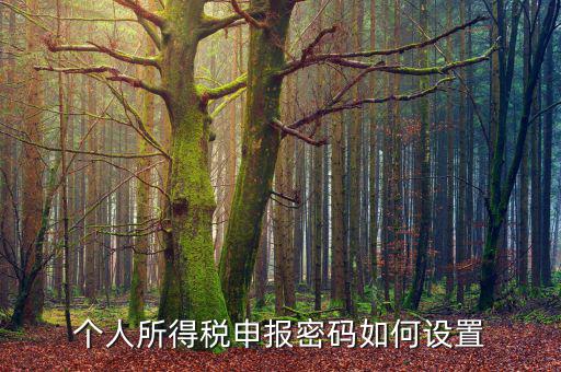 江蘇個(gè)稅申報(bào)第一次密碼是什么，個(gè)人所得稅申報(bào)初始密碼是啥
