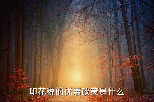 簡述印花稅的優(yōu)惠政策是什么，印花稅的優(yōu)惠政策是什么