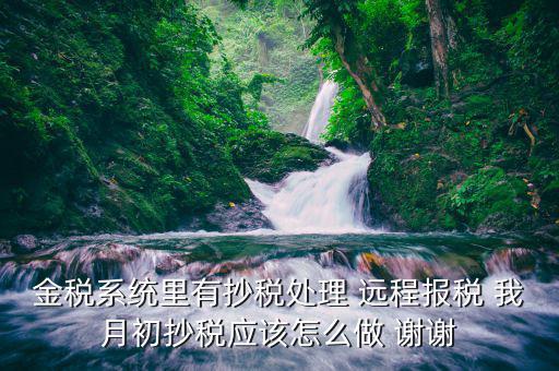 通過(guò)航天遠(yuǎn)程申報(bào)讀卡器讀寫數(shù)據(jù)是個(gè)什么樣的過(guò)程，金稅系統(tǒng)里有抄稅處理 遠(yuǎn)程報(bào)稅 我月初抄稅應(yīng)該怎么做 謝謝