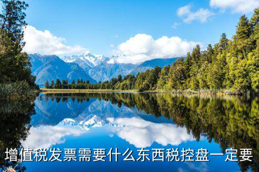 發(fā)票打印需要什么盤，調(diào)試打印增值稅發(fā)票的打印機(jī)要插入金稅盤嗎
