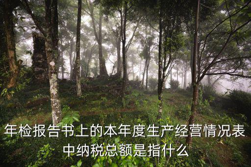 年報(bào)的納稅額看什么表，年檢報(bào)告書上的本年度生產(chǎn)經(jīng)營情況表中納稅總額是指什么