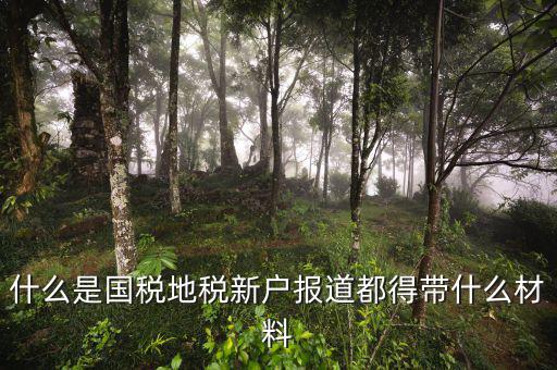 國地稅報道是什么意思，什么是國稅地稅新戶報道都得帶什么材料