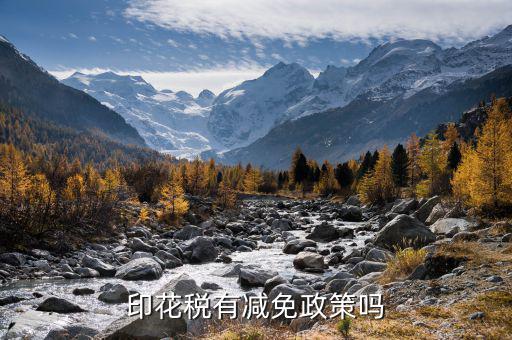 借款印花稅從什么時候免稅，印花稅減免稅優(yōu)惠政策2021