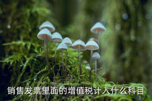 發(fā)票稅金入什么科目，開票稅金計(jì)入什么科目