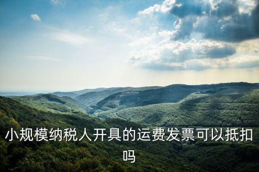 什么樣的運(yùn)費(fèi)票可以抵，運(yùn)輸費(fèi)增值稅都能用什么票抵扣