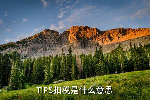 什么叫tips扣款，tips扣款和大廳扣款區(qū)別