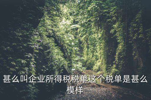 企業(yè)所得稅稅單是什么，稅單是什么怎樣提供稅單