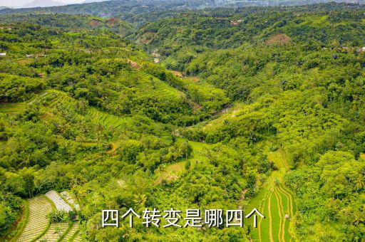 四個轉(zhuǎn)變是什么   稅收，詳細(xì)介紹一下四種流轉(zhuǎn)稅