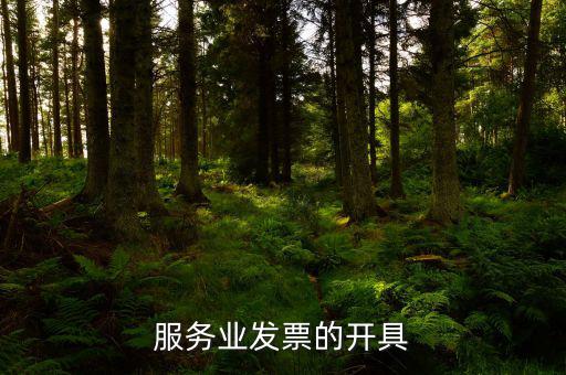 服務(wù)行業(yè)用什么發(fā)票，服務(wù)業(yè)發(fā)票的開具