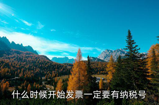 什么發(fā)票要稅號(hào)，什么時(shí)候開始發(fā)票上單位要有稅號(hào)