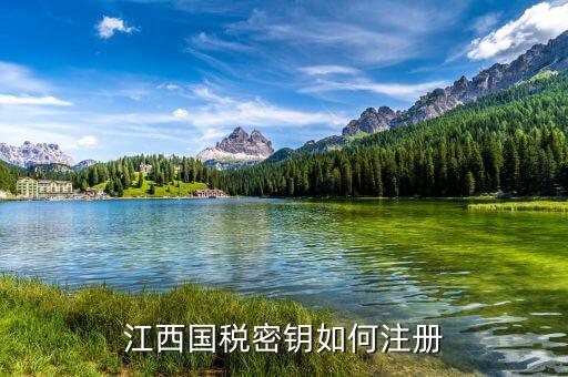 江西國稅密鑰是什么意思，為啥江西國稅的CA密鑰總是裝不成功