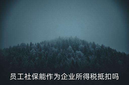 企業(yè)社?？梢缘质裁炊?，員工社保能作為企業(yè)所得稅抵扣嗎