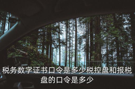 國(guó)稅證書(shū)口令是什么，我想問(wèn)下國(guó)家稅務(wù)網(wǎng)上申報(bào)點(diǎn)擊安全登錄時(shí)出現(xiàn)的用戶口令是什么