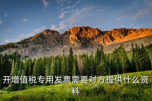 開增值稅專用票需要對方提供什么資料，銷售方開具增值稅專用發(fā)票需要對方提供什么資料