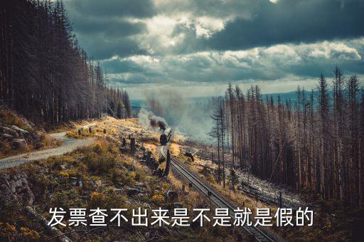 什么發(fā)票查不到真假，增值稅的發(fā)票真?zhèn)尾椴坏皆趺崔k
