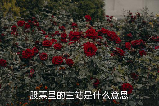 預(yù)控主站票是什么，股票里的主站是什么意思