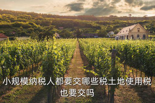 小規(guī)模納稅人交什么稅，小規(guī)模納稅人要交哪些稅