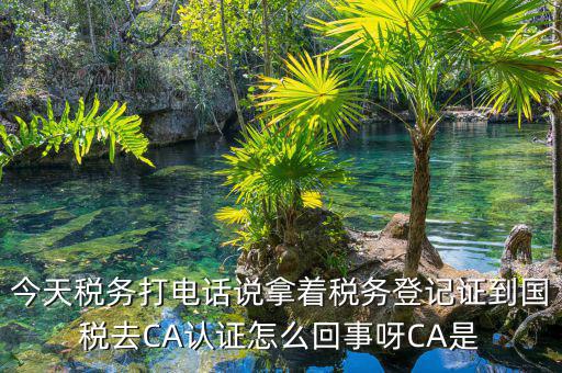 電子稅務(wù)局什么是ca登錄，網(wǎng)上報(bào)稅CA驗(yàn)證系統(tǒng)是甚么