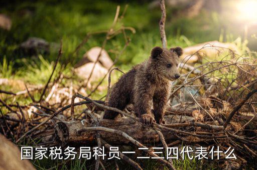 上海稅務(wù)局說的三員指什么，紀檢三員是指哪三員選舉三員是指哪三員