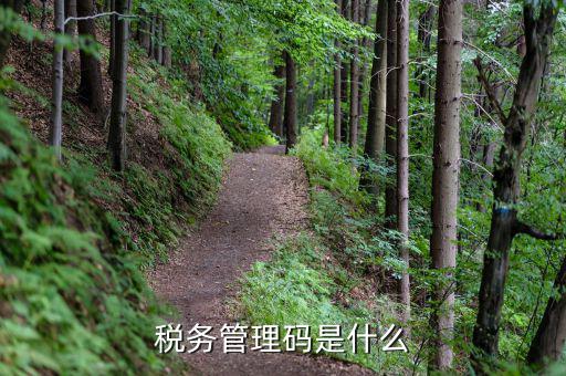 成都稅務(wù)號(hào)二維碼是什么，稅務(wù)管理碼是什么