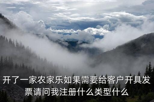 我要是以開普票為主 注冊什么性質的公司好，開了一家農家樂如果需要給客戶開具發(fā)票請問我注冊什么類型什么