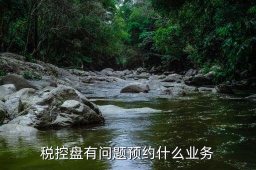 什么是稅務(wù)預(yù)約服務(wù)器，稅控盤有問題預(yù)約什么業(yè)務(wù)