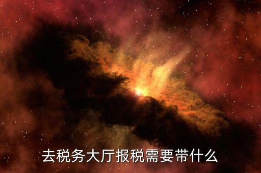北京地稅大廳申報(bào)需要帶什么，請(qǐng)問報(bào)地稅要帶什么資料