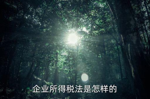 什么是企業(yè)所得稅法，企業(yè)所得稅法是怎樣的